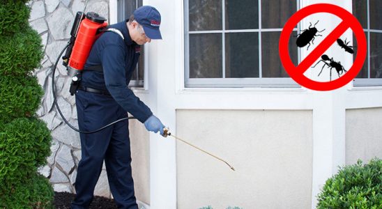 Çatalzeytin Fare İlaçlama böcek ilaçlama ve haşere kontrolü — ilaclama-tr.com